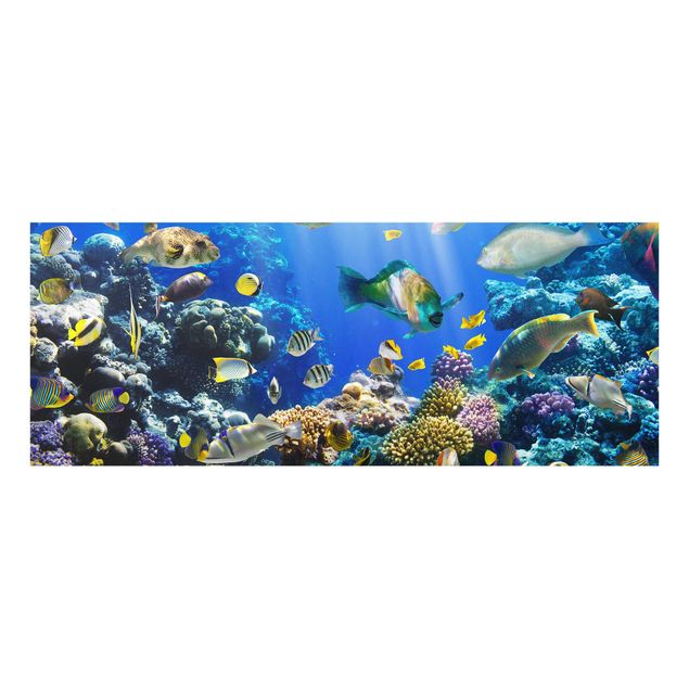 Wanddeko Büro Underwater Reef