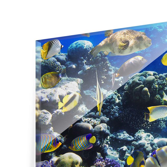 Wanddeko über Bett Underwater Reef