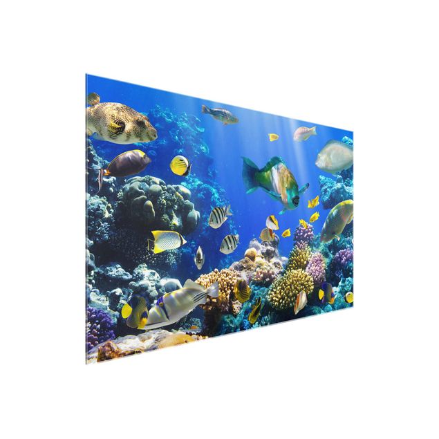 Wanddeko Esszimmer Underwater Reef
