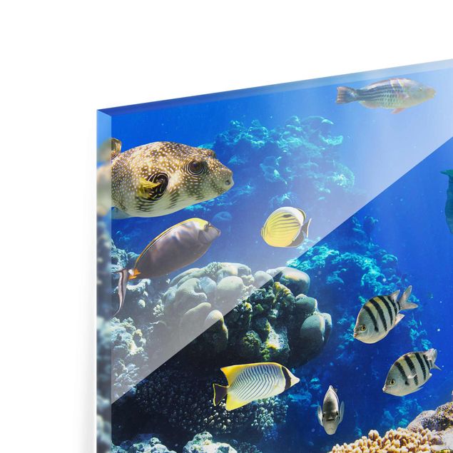 Wanddeko über Bett Underwater Reef
