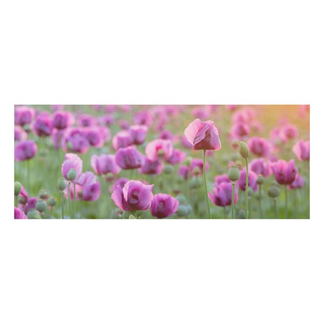 Deko Blume Violette Schlafmohn Blumenwiese im Frühling
