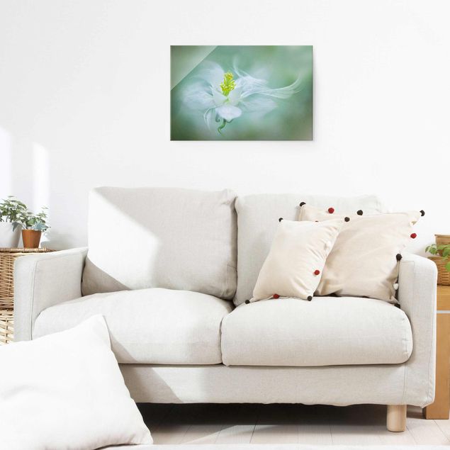 Wanddeko Blume Weiße Akelei