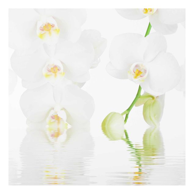 Wanddeko Blume Wellness Orchidee