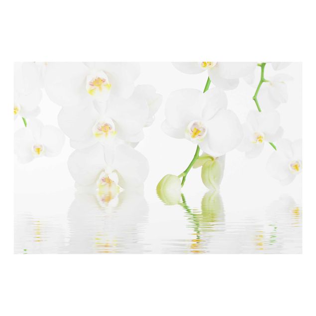 Deko Blume Wellness Orchidee