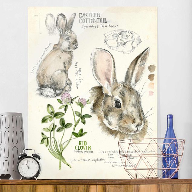 Wanddeko braun Wildnis Journal - Kaninchen