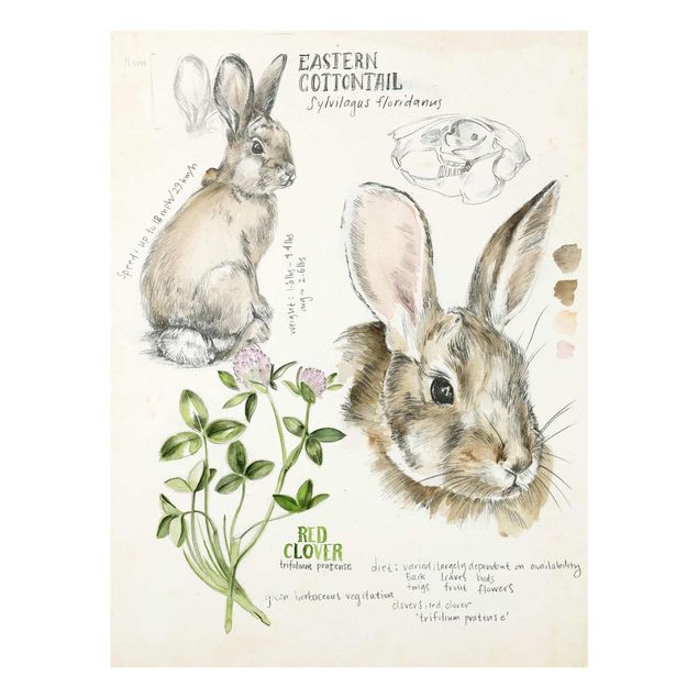 Wanddeko Büro Wildnis Journal - Kaninchen