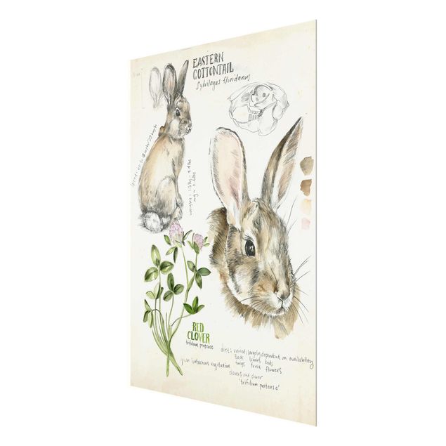 Wanddeko Treppenhaus Wildnis Journal - Kaninchen