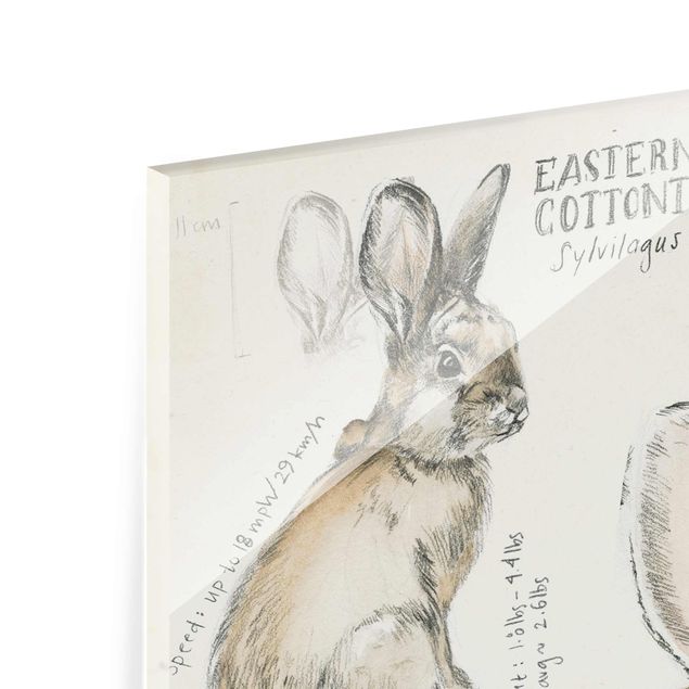 Wanddeko über Sofa Wildnis Journal - Kaninchen