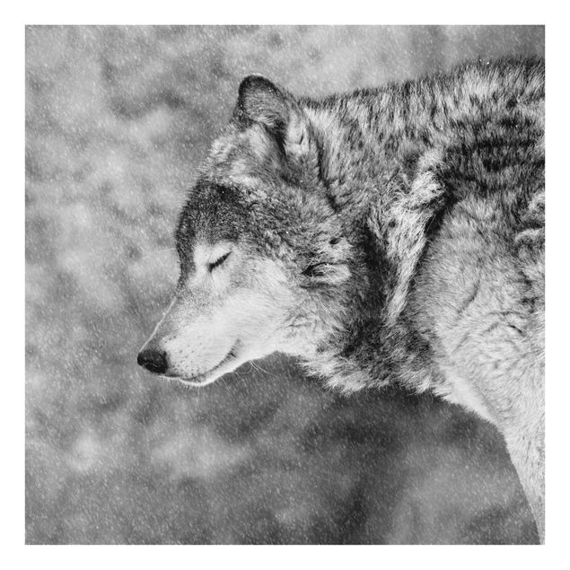 Wanddeko Treppenhaus Winter Wolf