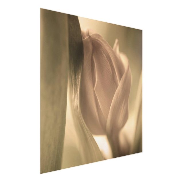 Wanddeko Blume Zarte Tulpen