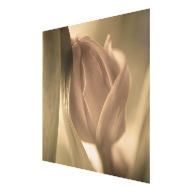 Wanddeko Esszimmer Zarte Tulpen
