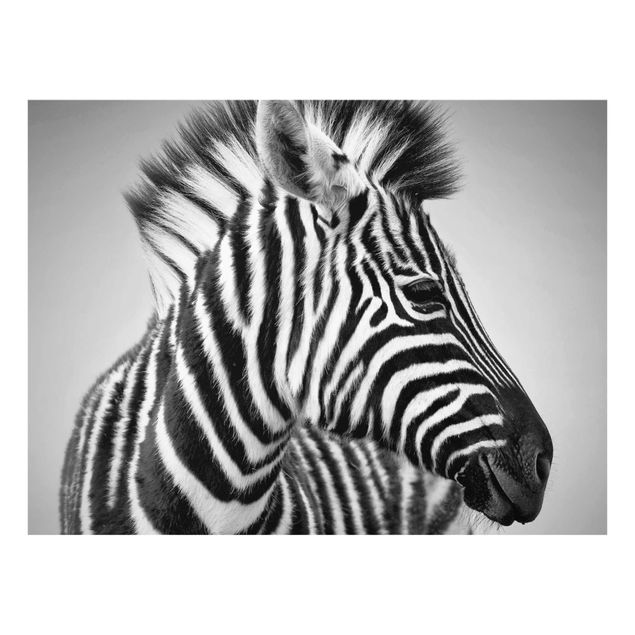 Wanddeko Treppenhaus Zebra Baby Portrait II