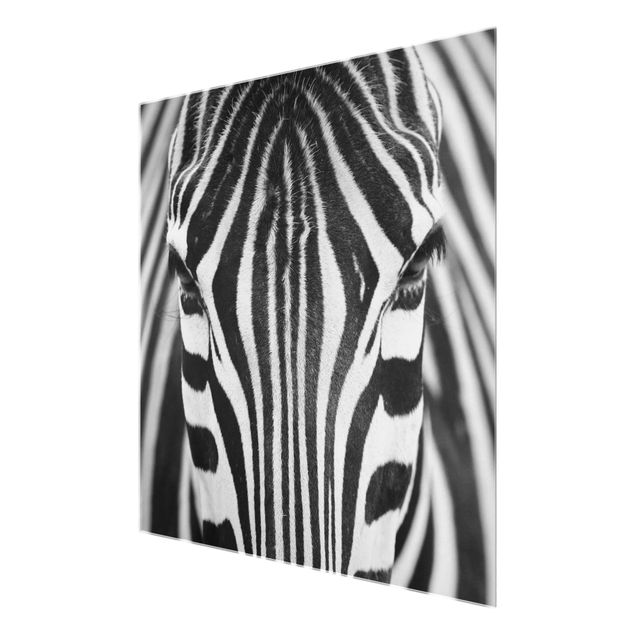 Wanddeko über Sofa Zebra Look