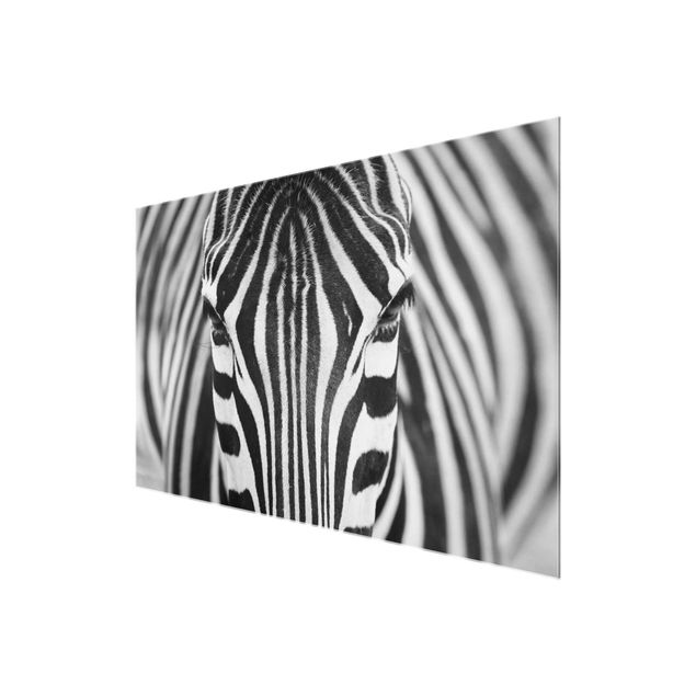 Wanddeko Büro Zebra Look