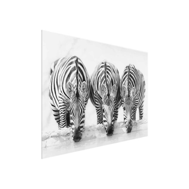 Wanddeko Büro Zebra Trio schwarz-weiß