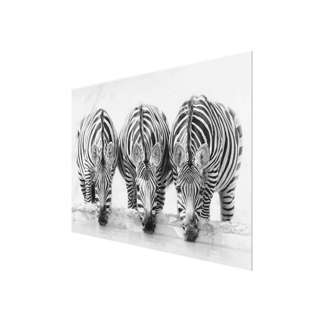 Wanddeko über Sofa Zebra Trio schwarz-weiß