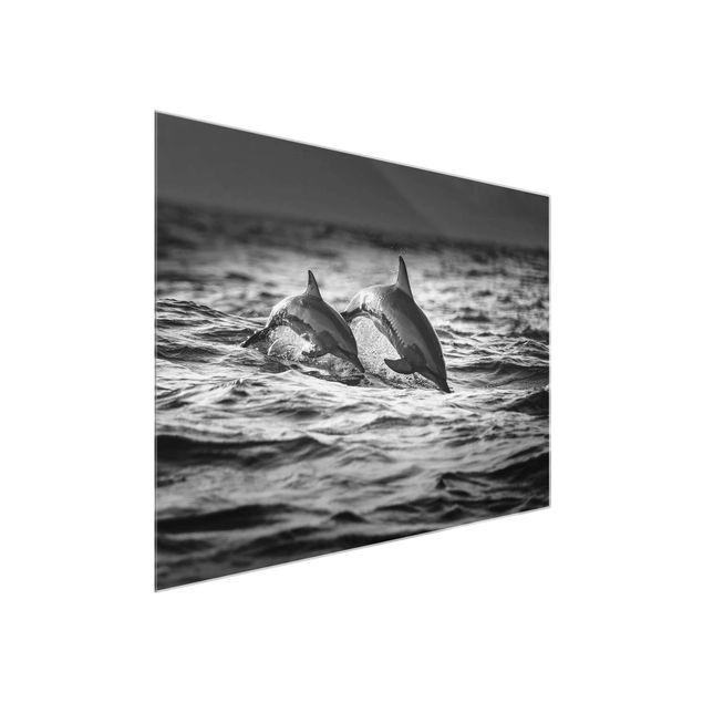 Wanddeko Esszimmer Zwei springende Delfine