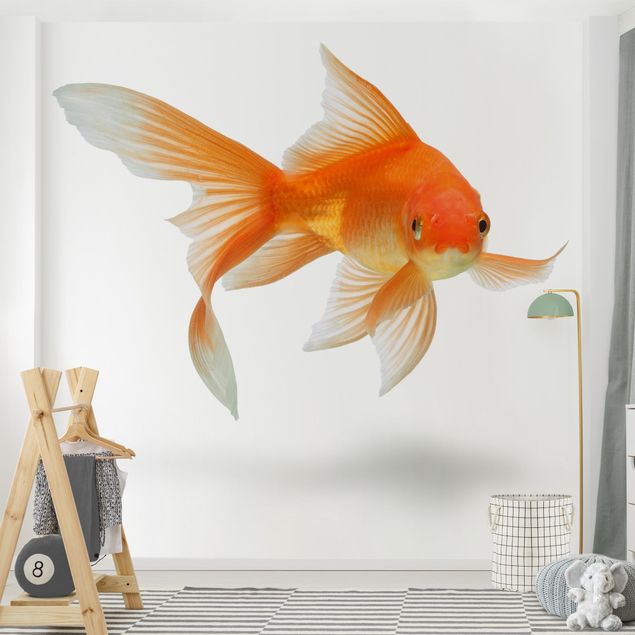Kinderzimmer Deko Goldfish is Watching you