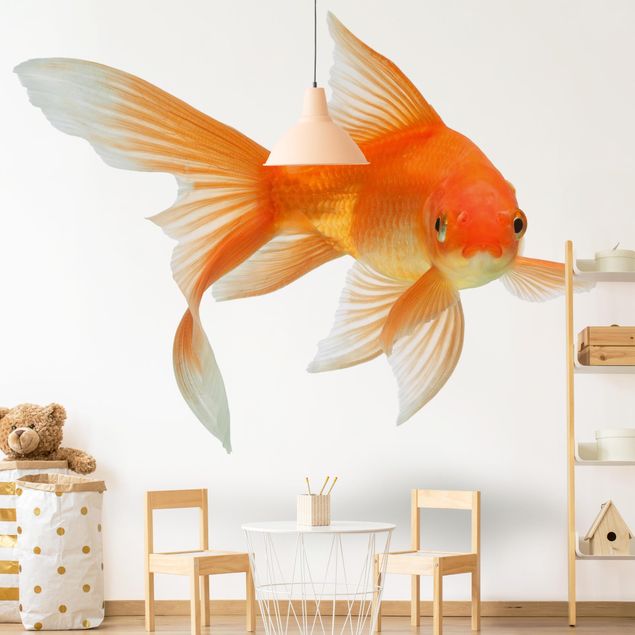 Wanddeko Büro Goldfish is Watching you