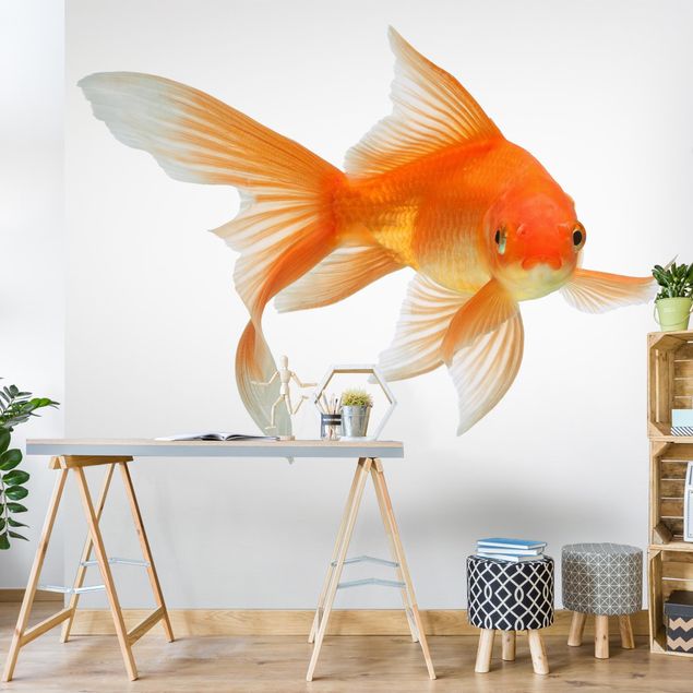 Wanddeko Babyzimmer Goldfish is Watching you