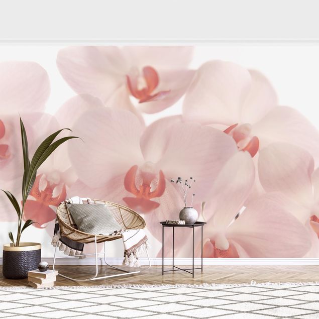 Wanddeko Wohnzimmer Helle Orchidee Blumentapete - Svelte Orchids