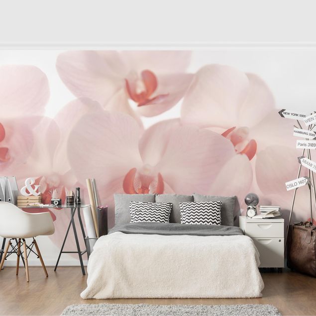 Wanddeko Schlafzimmer Helle Orchidee Blumentapete - Svelte Orchids
