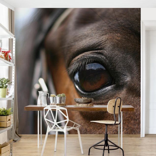 Wanddeko Büro Horse Eye