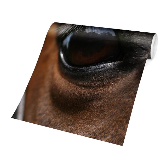 Wanddeko Mädchenzimmer Horse Eye