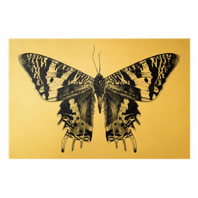 Wanddeko über Sofa Illustration fliegender Madagaskar Schmetterling