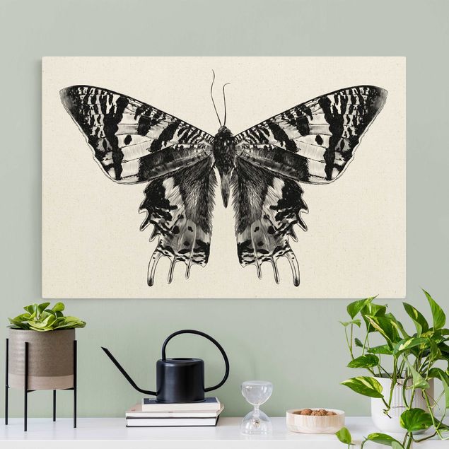 Wanddeko Büro Illustration fliegender Madagaskar Schmetterling
