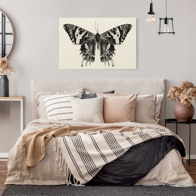 Wandbilder Schmetterlinge Illustration fliegender Madagaskar Schmetterling
