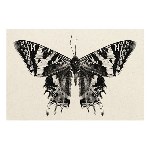 Wanddeko über Sofa Illustration fliegender Madagaskar Schmetterling