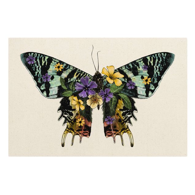 Leinwand Schmetterling Illustration floraler Madagaskar Schmetterling