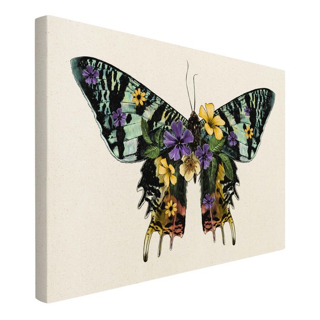 Wandbilder Schmetterlinge Illustration floraler Madagaskar Schmetterling
