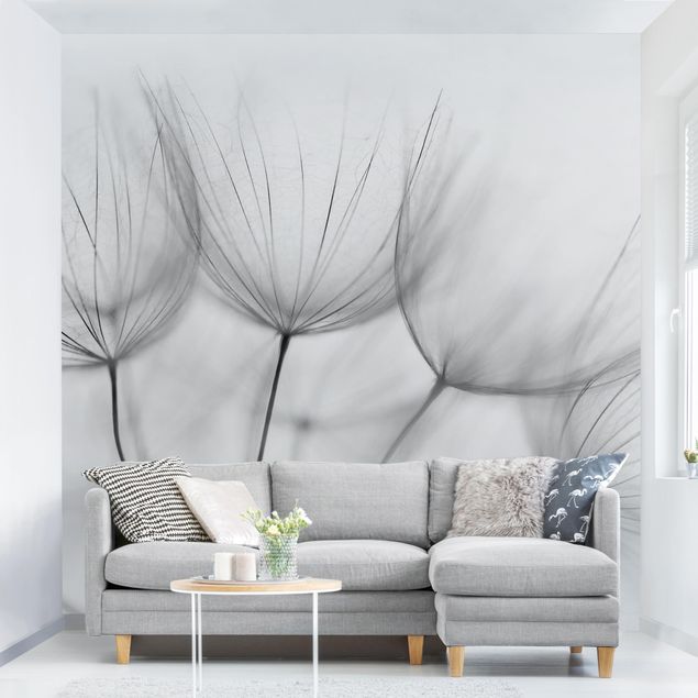 Wanddeko Wohnzimmer In einer Pusteblume Schwarz-Weiß