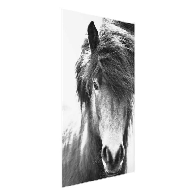 Wanddeko Büro Island Pferd in Schwarz-weiß