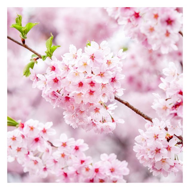 Wanddeko Büro Japanische Kirschblüten
