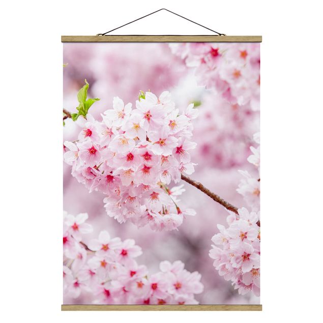 Wanddeko Flur Japanische Kirschblüten