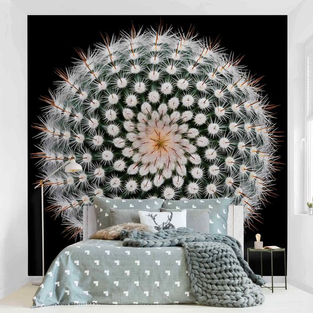 Wanddeko Wohnzimmer Kaktusblüte