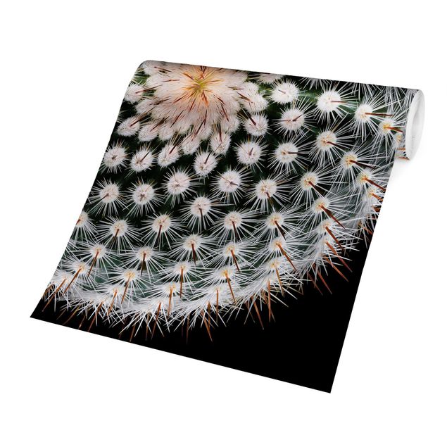Wanddeko Flur Kaktusblüte
