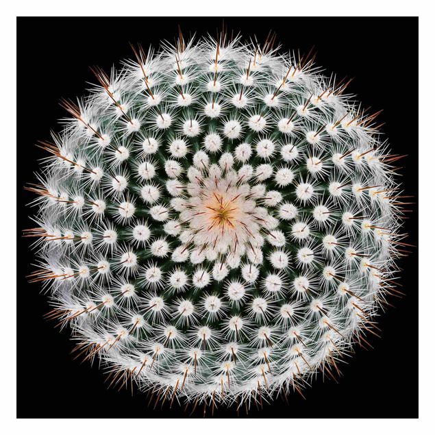 Wanddeko Esszimmer Kaktusblüte