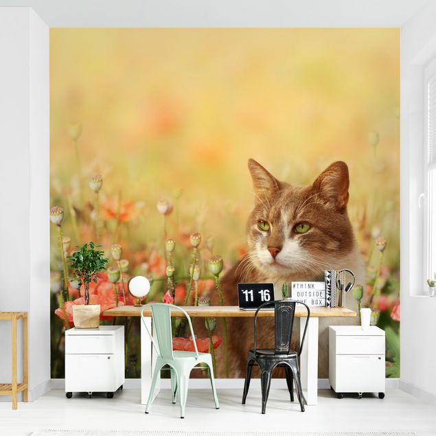 Wanddeko Büro Katze im Mohnfeld