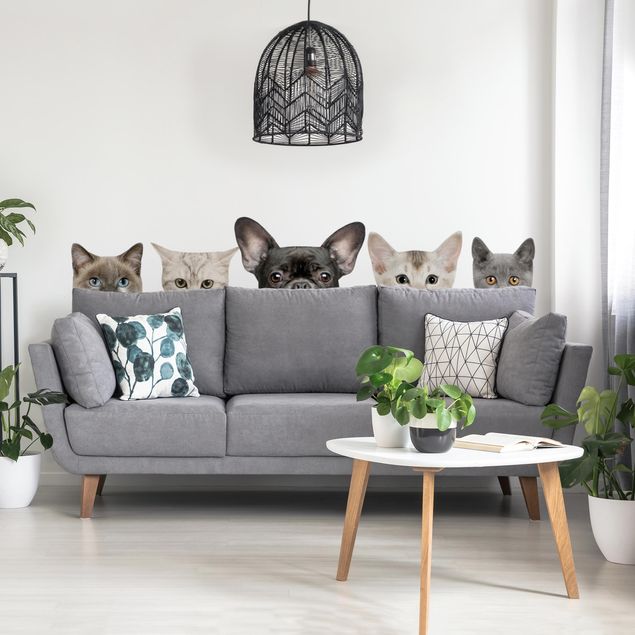Wanddeko Mädchenzimmer Katzen mit Hundeblick