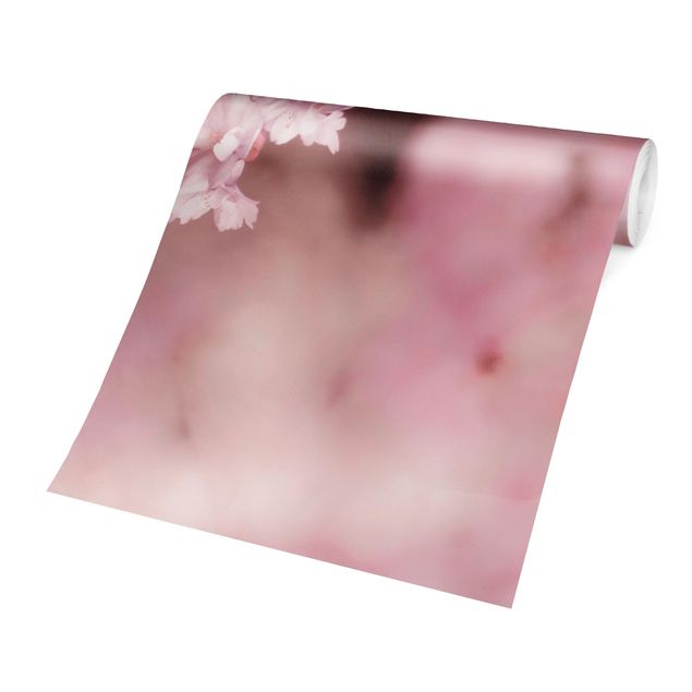 Wanddeko Esszimmer Kirschblüte im Violetten Licht