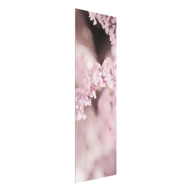 Wanddeko Esszimmer Kirschblüte im Violetten Licht