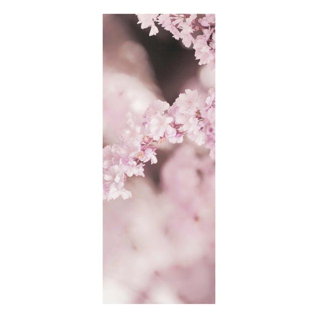Deko Kirschblüte Kirschblüte im Violetten Licht