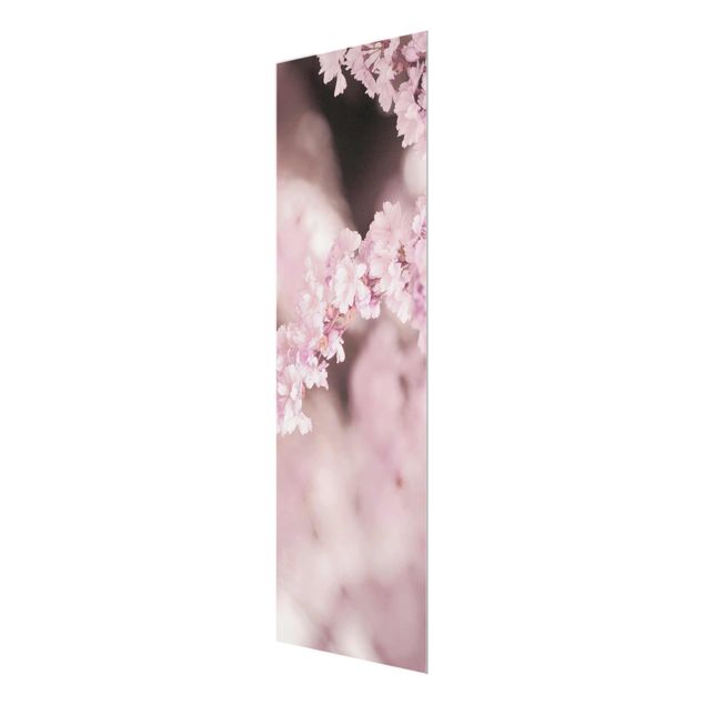Wanddeko Büro Kirschblüte im Violetten Licht