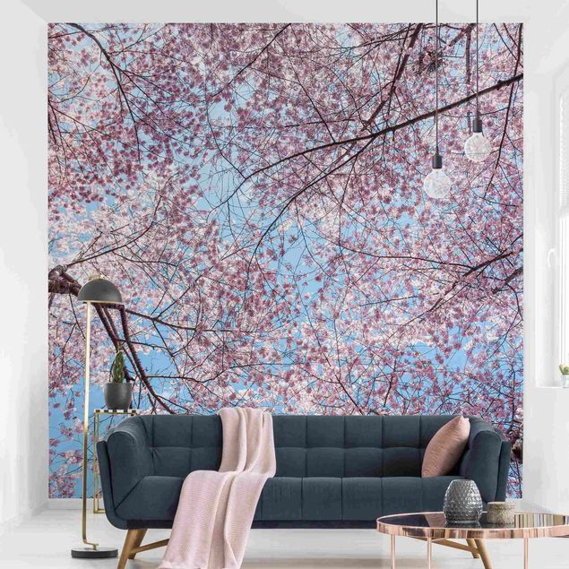 Wanddeko Wohnzimmer Kirschblütenzweige vor blauem Himmel