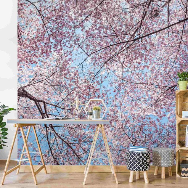 Wanddeko Schlafzimmer Kirschblütenzweige vor blauem Himmel