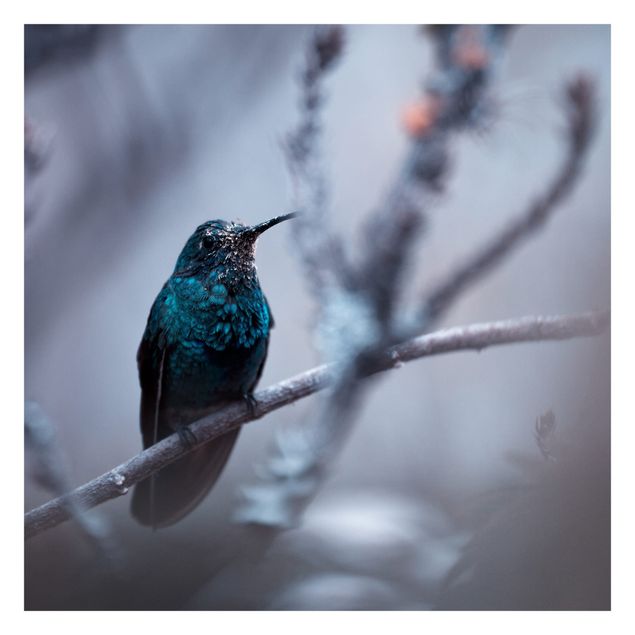 Tapete Vögel Kolibri im Winter